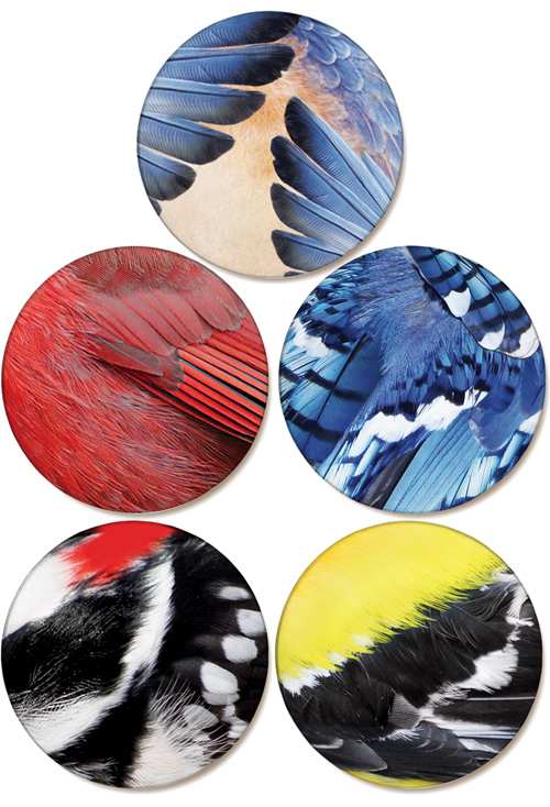 Audubon Bird Feather Ceramic Coasters